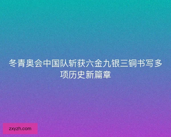 冬青奥会中国队斩获六金九银三铜书写多项历史新篇章