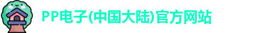 PP电子